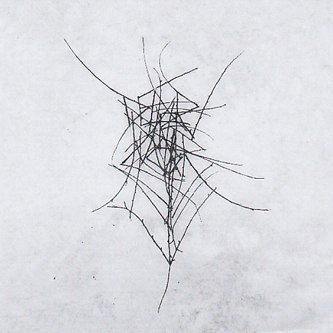 Dead Raven Choir : Schmerzensgewalt